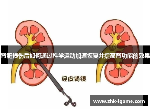 肾脏损伤后如何通过科学运动加速恢复并提高肾功能的效果