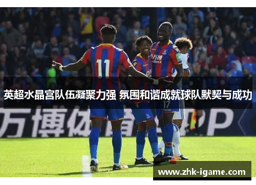 英超水晶宫队伍凝聚力强 氛围和谐成就球队默契与成功