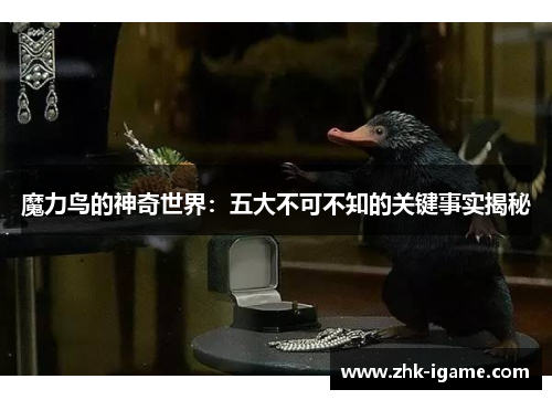 魔力鸟的神奇世界：五大不可不知的关键事实揭秘